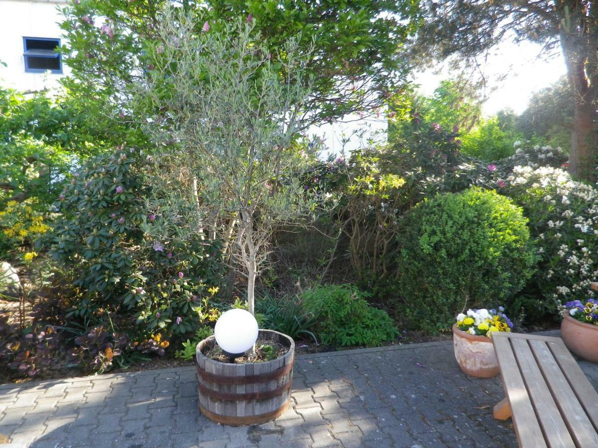Apartment Zum Sudhaus Im Herzen Der Schorfheide Golzow (Barnim)